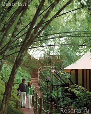Four Seasons Tented Camp Golden Triangle 14